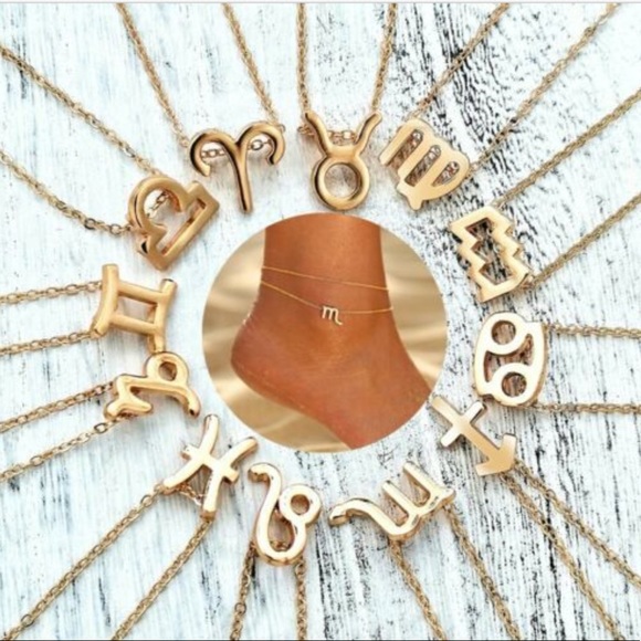 Aquarius - Zodiac ♒️ Sign Necklace w/ Card - Picture 5 of 6